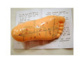 model-picior-studiu-acupunctura-cod-s02-small-2