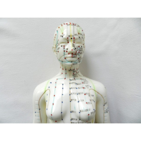 mulaj-studiu-acupunctura-femeie-48-cm-cod-s13-big-2