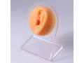 mulaj-studiu-ureche-silicon-marime-naturala-stanga-cu-suport-din-plastic-cod-s43-small-6