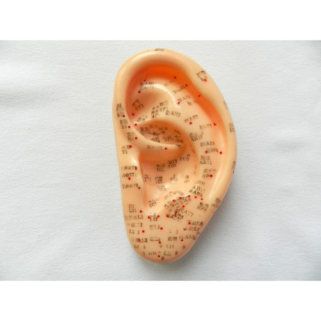 model-ureche-studiu-acupunctura-13-cm-cod-s04-big-2